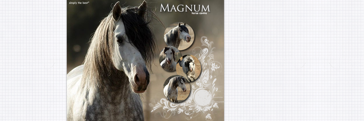 • magnum horse centre.